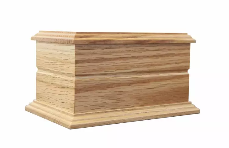Rabbit ashes casket cheap